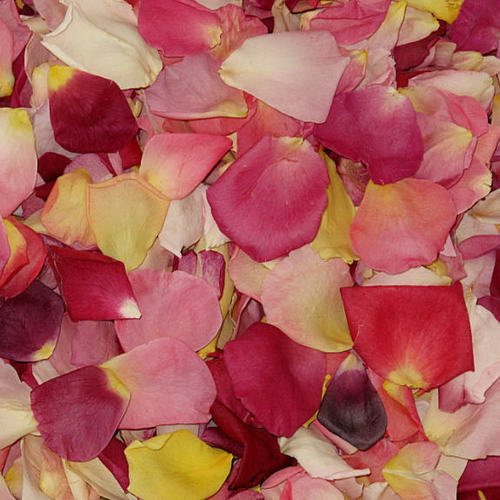 Assorted Flower Petals - Preserved Freeze dried Real Flower Petals. Wedding  Petals. Flower Confetti