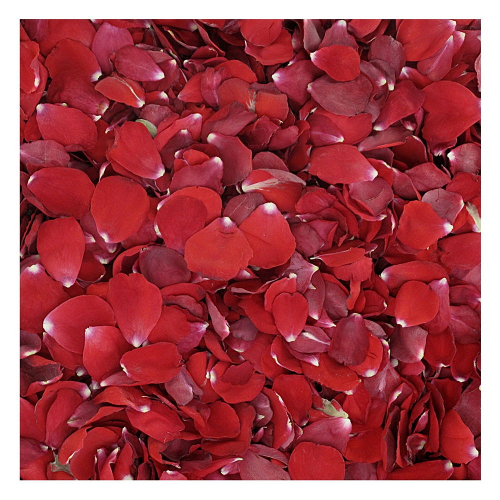 5 Reasons To Choose Freeze-dried, Eco-friendly Rose Petals As Your