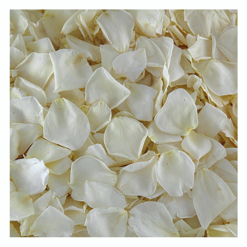 Rose petal decoration. Eco-friendly petals available at www