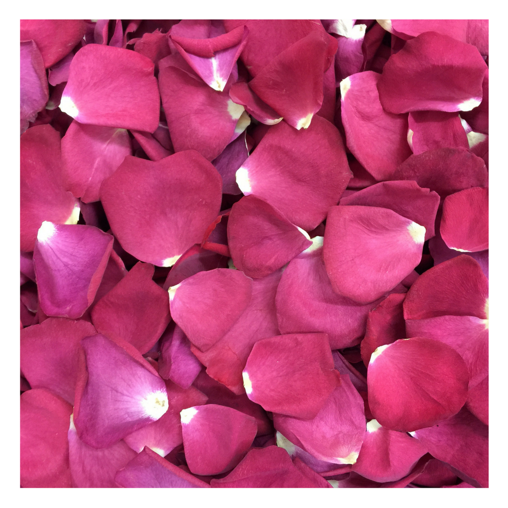 5 Reasons To Choose Freeze-dried, Eco-friendly Rose Petals As Your