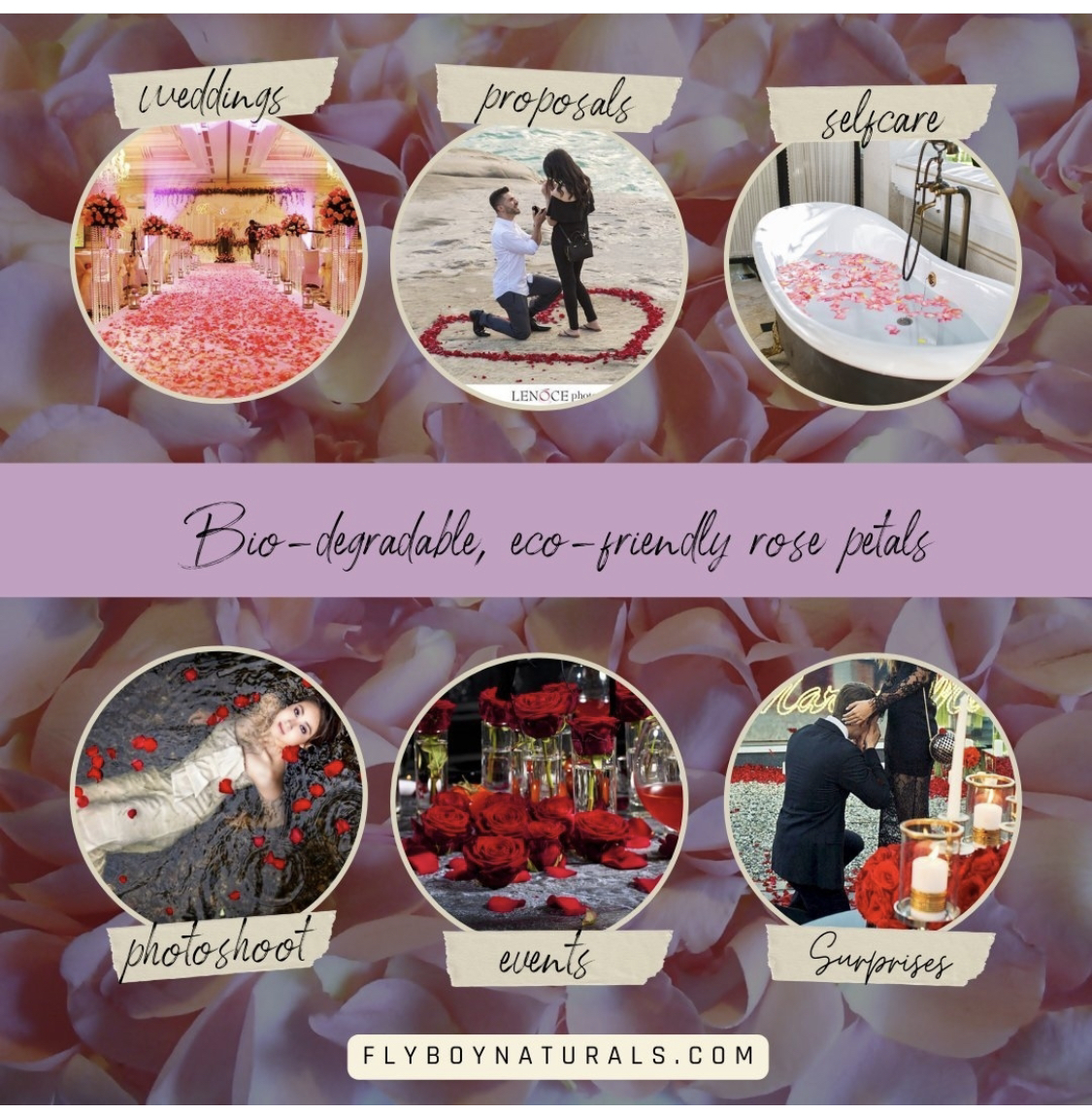 5 Reasons To Choose Freeze-dried, Eco-friendly Rose Petals As Your