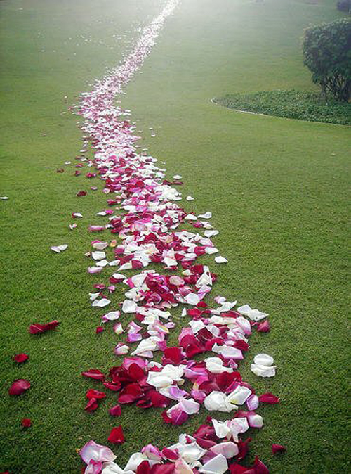 Assorted Flower Petal blend of Wedding Petals, Rose Petals from Flyboy  Naturals